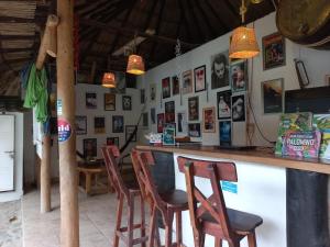 El Leon Feliz Palomino