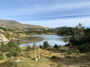 Chalets Chalet de montana : photos des chambres