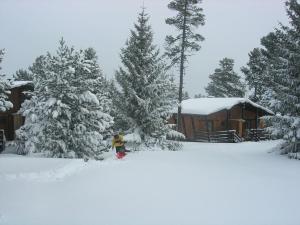 Chalets Chalet de montana : photos des chambres