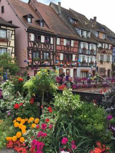 Les Appartements de Home Petite Venise : photos des chambres