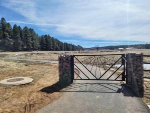 Luxurious Mountain Retreat!