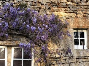 Maisons de vacances Les Follets : photos des chambres