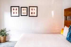 Whale Watcher 2