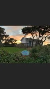 Driftwood Cottage - Seal Rock