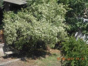 S'Imbragu Farm B&B img86