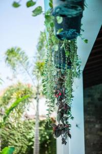 Deluxe Tropical 6 BR Villa Near Beach