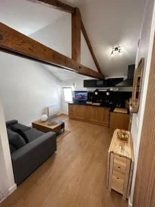 Studio cosy rémois - 蒂恩奎克斯