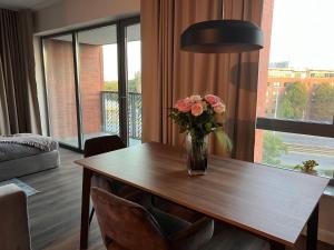 Premium and luxury Gdansk apartment  Baltic Riviera Apartments