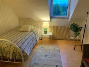 Appartements Coquet F1 Chez Francine : photos des chambres