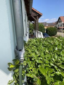 Maisons de vacances Gite Au nid de cigognes : Maison 3 Chambres