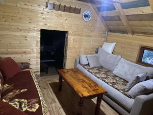 Vikendica KOLIBA NISAVIC