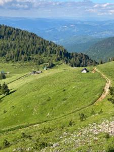 Vikendica KOLIBA NISAVIC