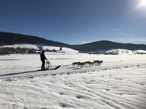 Appartements Les Ptits Loups, Autrans en Vercors : Appartement