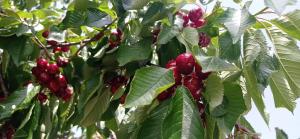 La Relais del Trullo