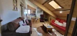 Appartement style montagne avec SPA - Targassonne