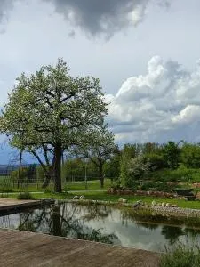 Salerhof - 巴特武尔察赫