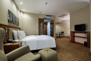 Queen Room - Smoking room in Hampton By Hilton Gaziantep