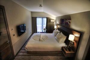 One-Bedroom King Suite room in Hilton Garden Inn Eskisehir