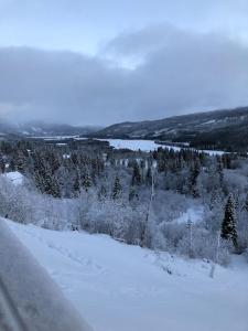 Mysig fjällägenhet med ski in och ski out, 4 rum + kök