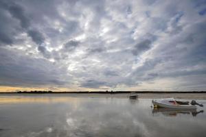 Villas Villa neuve contemporaine avec piscine : photos des chambres