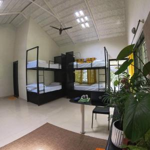 beNomadic Eco Hostel - Kodagus First Sustainable Hostel on a Coffee Plantation