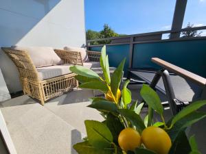 Apartment MANDALA CP concepts