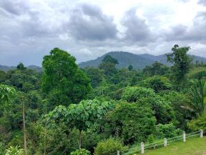 D view hill hotel