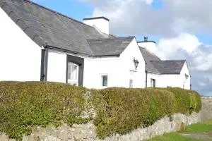 Bodwarren - Llanfaelog