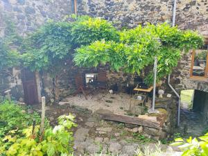 Appartements Gite la Bibliotheque : Studio avec Vue sur Jardin