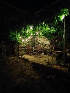 Appartements Gite la Bibliotheque : photos des chambres