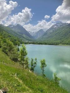 Appartements 3 Bed Holiday Home in the Pyrenees Mountains : photos des chambres