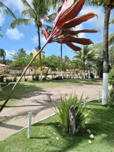 Pousada Vivenda Da Praia