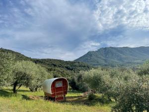 Campings Le Camping de Cucugnan : photos des chambres