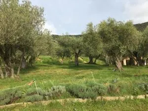 Le Camping de Cucugnan - Maury