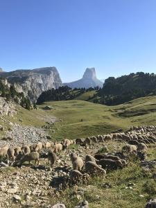 Sejours chez l'habitant Vercors en Vert : photos des chambres