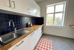 Beautiful 2 bedroom apartment downtown Reykjavik