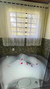 Hotel Pião Mineiro