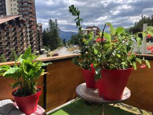 Chalets Chalet Pra-Loup, 10 pieces, 15 personnes - FR-1-165A-180 : photos des chambres