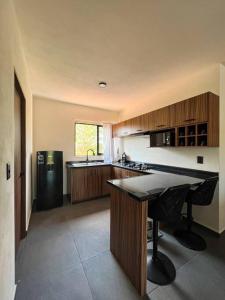 Condo Temis Vallarta