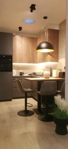 SREBRNI VRHOVI Penthouse