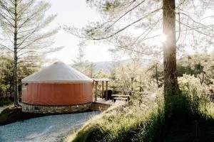 Santeetlah @ Sky Ridge Yurts - Burnett Fields