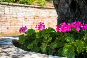 Krouzeri Beach Apartments Corfu Greece