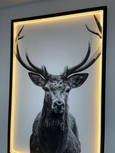 Black&Yellow Designer Apartment Bielefeld