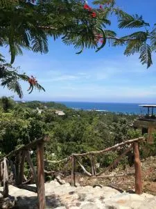 HOTEL AVE FENIX - Abraham de los Santos