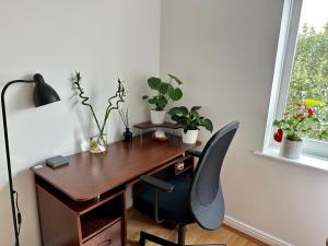 River views from Canary Wharf