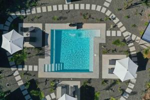 Sharma Costa Rica- Mimosa Casita