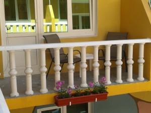 Standard Suite room in Solnyshko Pansionat