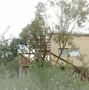 Nio de Baixo - 19 de Abril