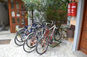 Guesthouse Koren at Winery