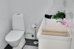 Excellent location! In the city centre, stylish apartment 1 room, kitchen and balcony